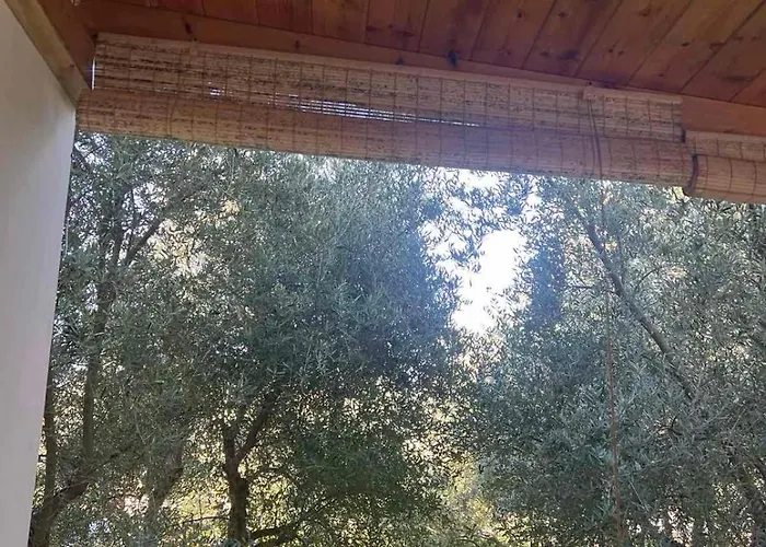 Alio Seaside Maisonette Diakopto